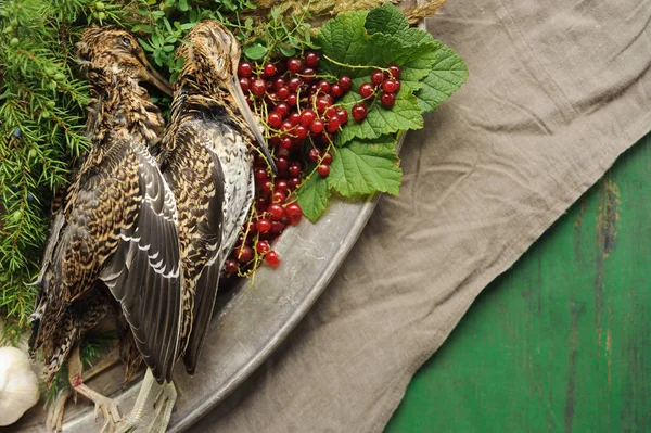 Wild hunting fowls in cooking. Two snipe or woodcock lie on metal dish. Wildfowl hunting.