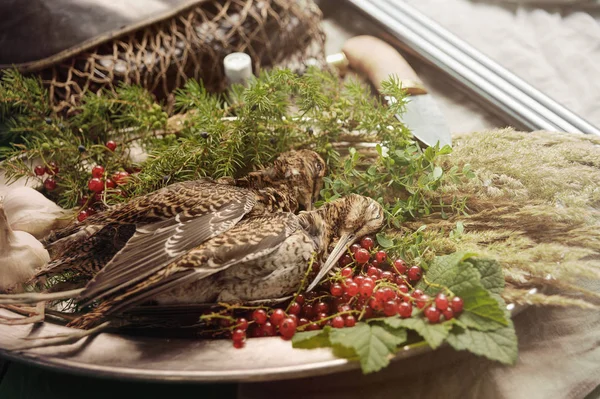 Wild hunting fowls in cooking. Two snipe or woodcock lie on metal dish. Wildfowl hunting.