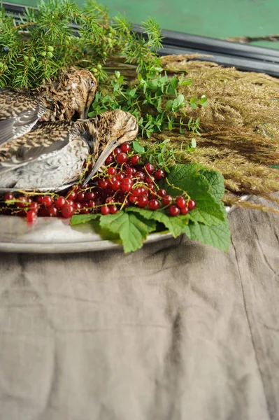 Wild hunting fowls in cooking. Two snipe or woodcock lie on metal dish. Wildfowl hunting.