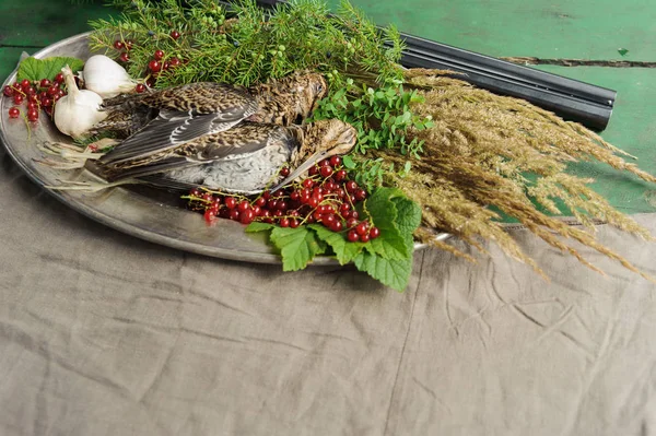 Wild hunting fowls in cooking. Two snipe or woodcock lie on metal dish. Wildfowl hunting.