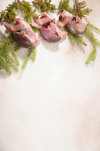 Wild hunting fowls in cooking. Ptarmigan, fir-tree branches and cowberry arranged on light background.