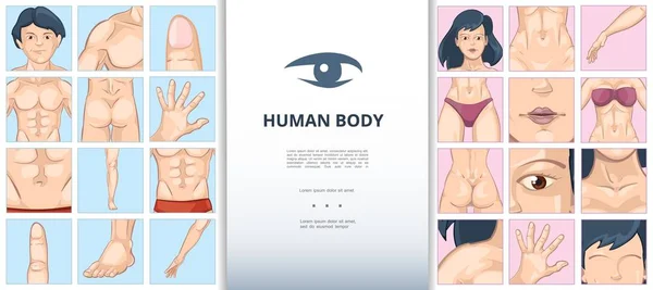 Human Body Part Illustrations Images Search Images On Everypixel