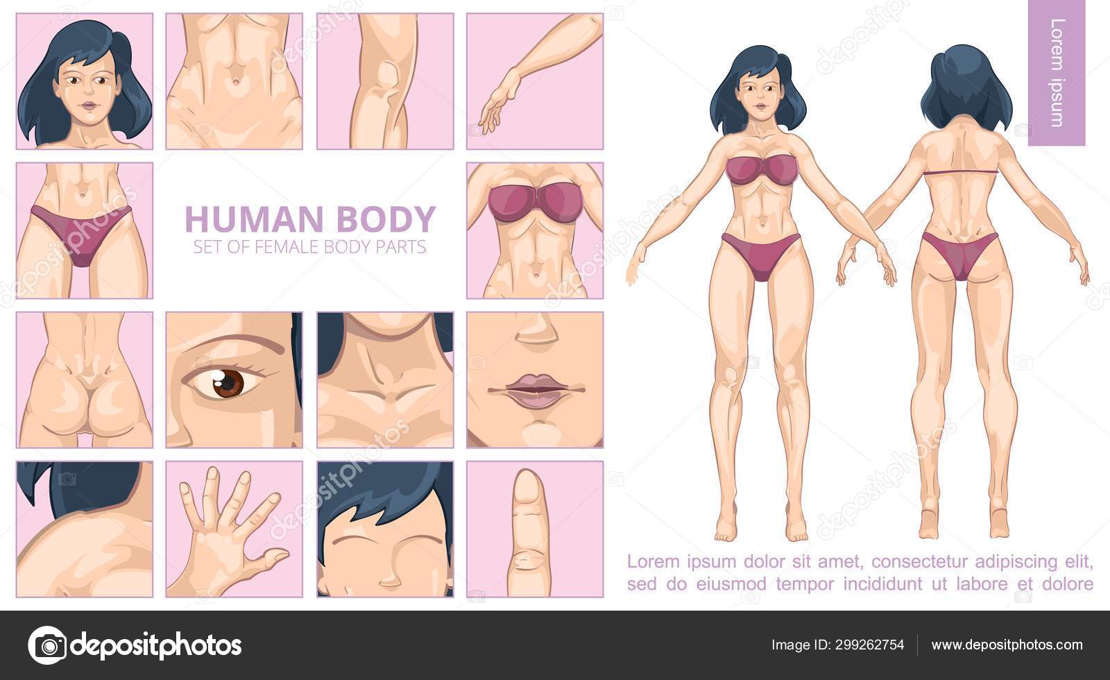 Cartoon Female Body Parts Composition Stock Vector Image By C K3star 299262754