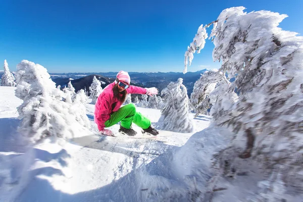 Kadın Snowboard Pitoresk Dağların Arasında Noel Ağaçları Sürme — Stok fotoğraf