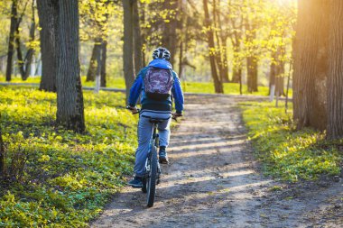 Mutlu bir adam bisikletçi ile bir dağ bisikleti üzerinde bir pitoresk orman yolda gidiyor. Macera turizmi.