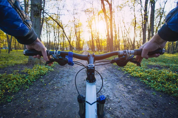 Man Cyclist Rides Forest Bike First Person View Travel Concept — Stock Photo, Image