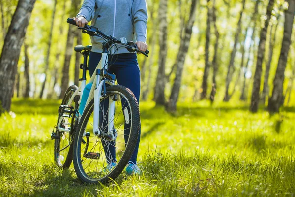 骑自行车在森林里骑山地车的低角度的看法在早上 — 图库照片