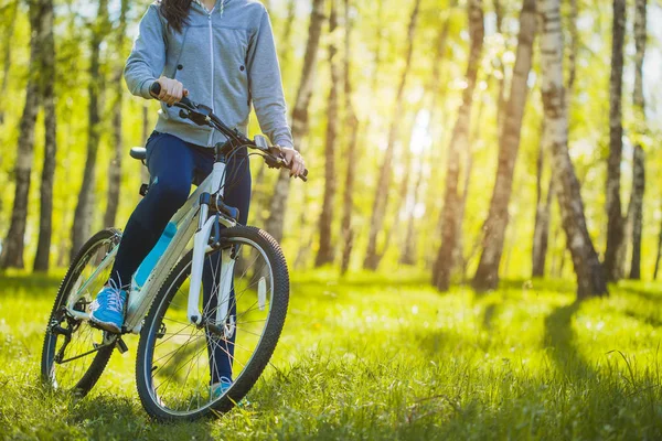 Low Angle View Cyclist Riding Mountain Bike Forest Morning — Stock Photo, Image