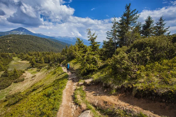 一位游客沿着一条蜿蜒的山路散步 夏天在山里散步 — 图库照片