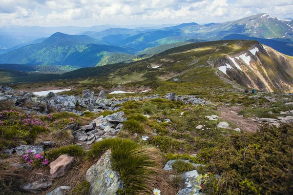 在高山的看法与岩石在前景 喀尔巴泰山脉 — 图库照片