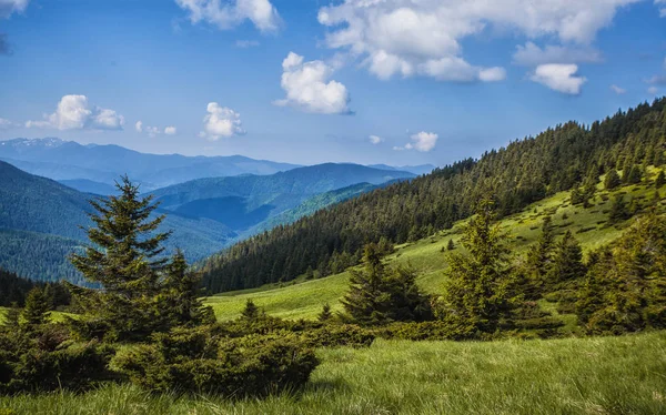 Hijau Padang Rumput Gunung Dengan Pegunungan Background Pegunungan Carpathian — Stok Foto