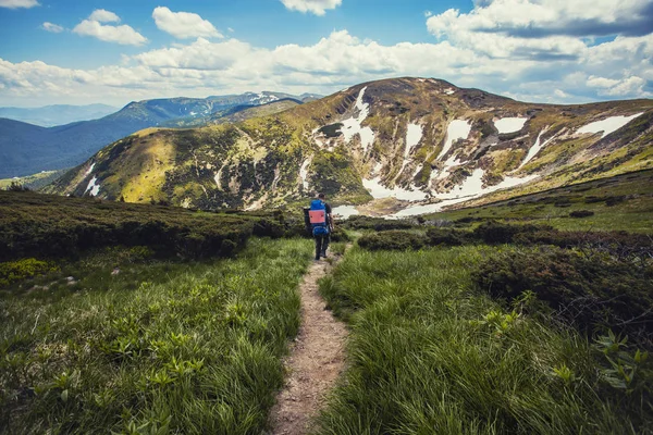 Turist Promenader Längs Slingrande Skogsstig Sommaren Vandrar Bergen — Stockfoto