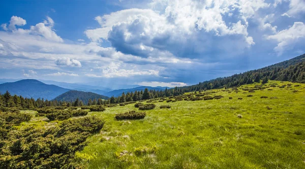 Hijau Padang Rumput Gunung Dengan Pegunungan Background Pegunungan Carpathian — Stok Foto