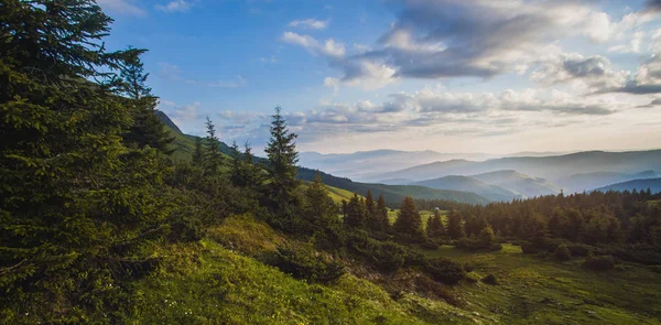 Bella Alba Nelle Montagne Dei Carpazi Fotografia Paesaggio — Foto Stock