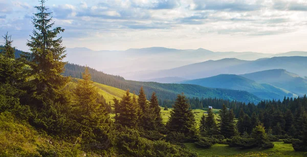güzel gündoğumu Karpat Dağları'nda. manzara fotoğrafçılığı