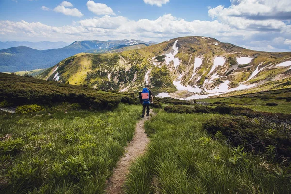 観光客は 曲がりくねった山道を歩きます 夏の山の中を歩く — ストック写真
