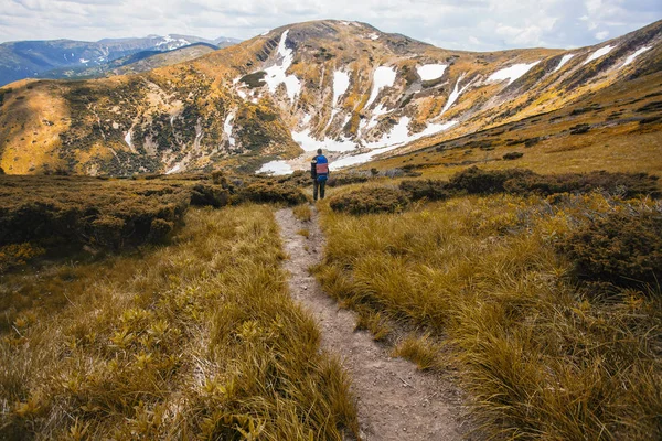 Ein Tourist Wandert Auf Einem Gewundenen Bergpfad Sommer Wandern Den — Stockfoto