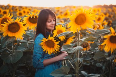 Şirin esmer ayçiçeği bir çiçek açması içinde alan. kırsal mutlu yaşam