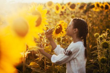 Ayçiçeği çiçek açması alanında ulusal bir Ukraynalı elbise sevimli çocuk. kırsal mutlu yaşam