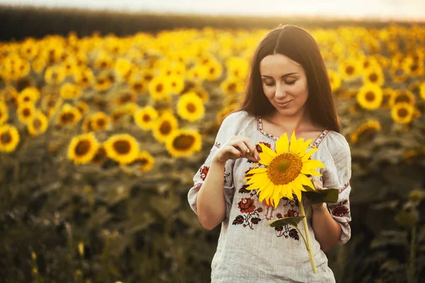 Cute Brunette Blossoming Sunflower Field National Ukrainian Clothes Rural Happy — Stock Photo, Image