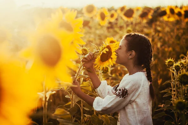 Niedliches Kind Einem Blühenden Sonnenblumenfeld Ukrainischer Nationalkleidung Glückliches Leben Auf — Stockfoto