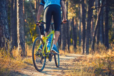 Mutlu sakallı adam dağ bisikletiyle güneşli ormanda bisiklet sürüyor. Macera seyahati.