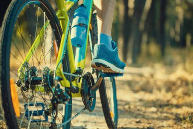 bisikletçi binme dağ bisikleti sabah ormandaki düşük açılı görünümü