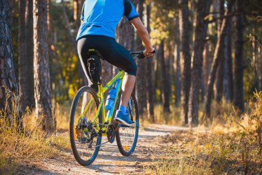 bisikletçi binme dağ bisikleti sabah ormandaki düşük açılı görünümü