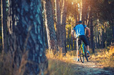 bisikletçi binme dağ bisikleti sabah ormandaki düşük açılı görünümü