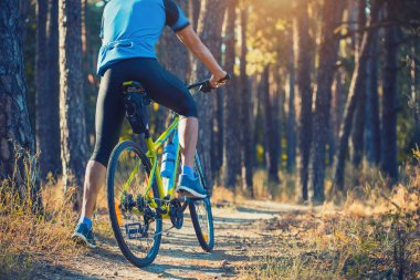 bisikletçi binme dağ bisikleti sabah ormandaki düşük açılı görünümü