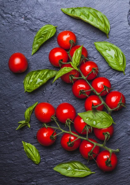 Fresh Cherry Tomatoes Black Slate Board Background Basil Top View — Stock Photo, Image