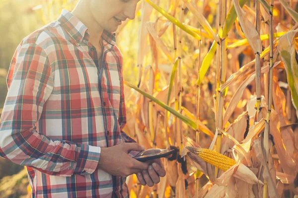 Agronomo Utilizzando Una Tavoletta Leggere Rapporto Sul Campo Agricolo Con — Foto Stock