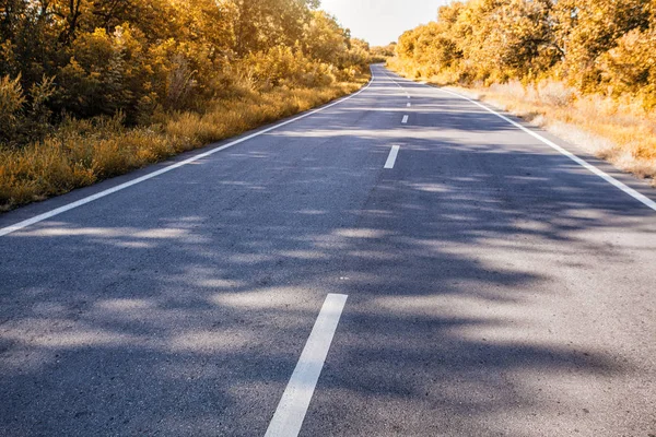 Land Asphalt Waldstraße Szene Sommerreisekonzept — Stockfoto