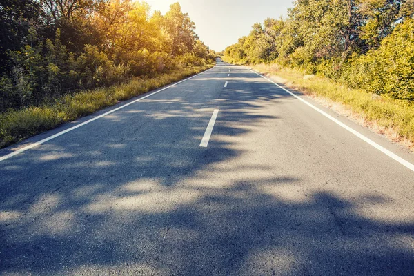 Land Asphalt Waldstraße Szene Sommerreisekonzept — Stockfoto