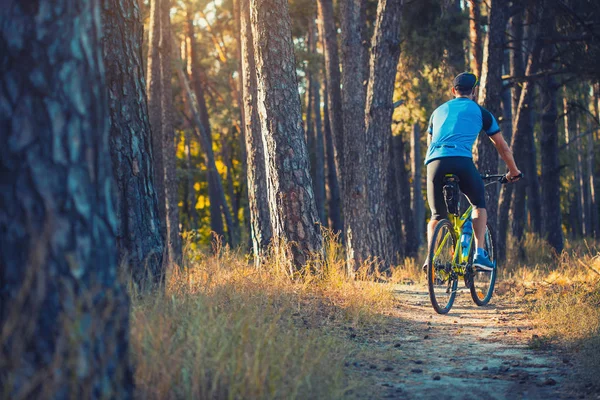 Happy bearded man cyclist rides in the sunny forest on a mountain bike. Adventure travel.