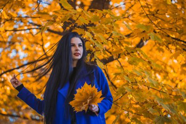 Sonbahar yaprakları sonbaharda doğa arka plan üzerinde ile mavi paltolu güzel esmer kadın