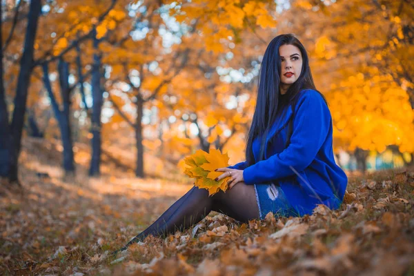 Beautiful Brunette Woman Blue Coat Autumn Leaves Fall Nature Background — Stock Photo, Image