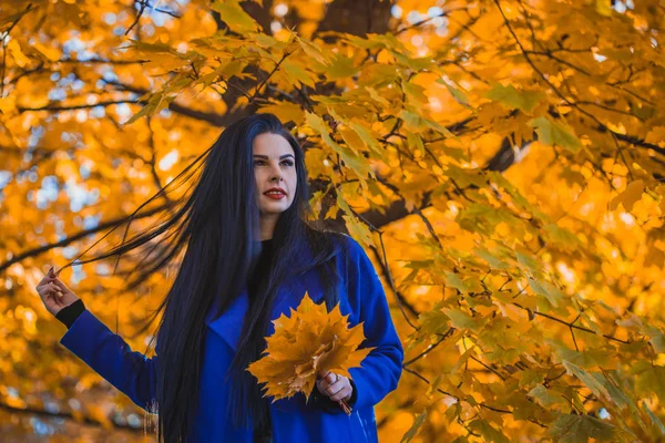Mooie Brunette Vrouw Een Blauwe Jas Met Autumn Leaves Val — Stockfoto