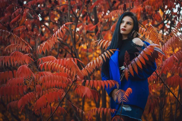 Bella Bruna Donna Cappotto Blu Con Foglie Rosse Autunno Sfondo — Foto Stock