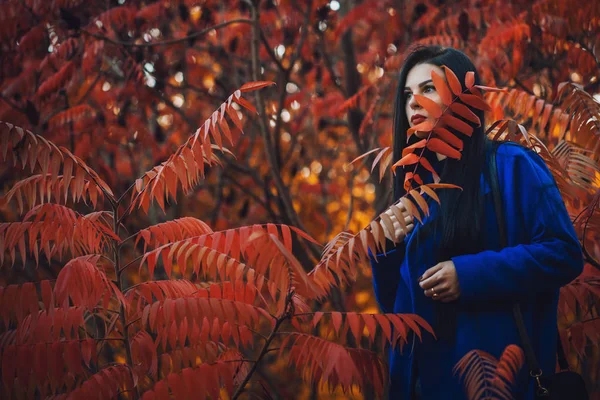 Hermosa Morena Mujer Abrigo Azul Con Hojas Rojas Otoño Otoño — Foto de Stock