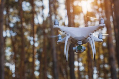 Drone quadrocopter ormandaki dijital fotoğraf makinesi ile