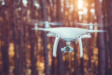 Drone quadrocopter ormandaki dijital fotoğraf makinesi ile