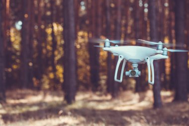 Drone quadrocopter ormandaki dijital fotoğraf makinesi ile
