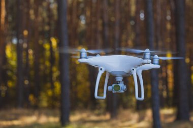Drone quadrocopter ormandaki dijital fotoğraf makinesi ile