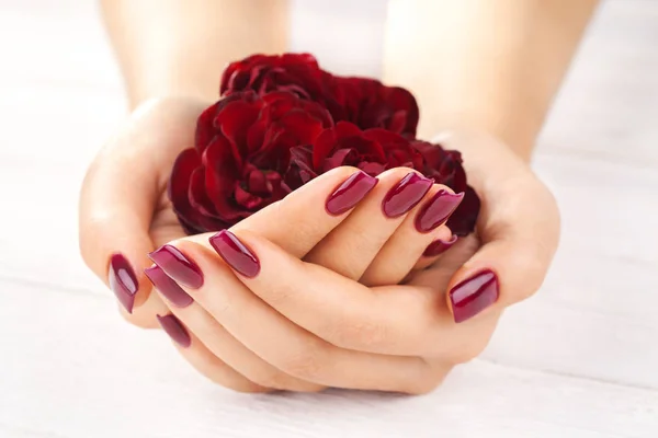Bela Manicura Vinosa Com Flores Rosa Spa — Fotografia de Stock