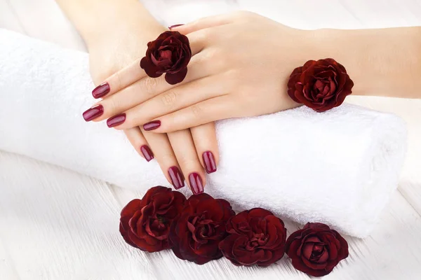 Piękny Manicure Winnego Kwiatów Róży Spa — Zdjęcie stockowe
