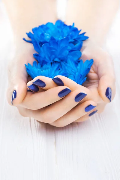 Hermosa Manicura Azul Con Flores Crisantemo Spa — Foto de Stock