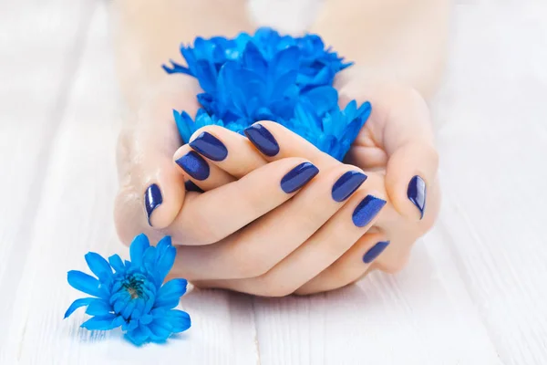 Mooie Blauwe Manicure Met Chrysant Bloemen — Stockfoto