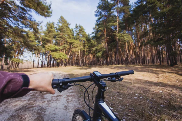 man cyclist rides in the forest on a bike. first-person view