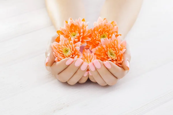 Vackra Rosa Manikyr Med Orange Krysantemum Blommor Spa — Stockfoto